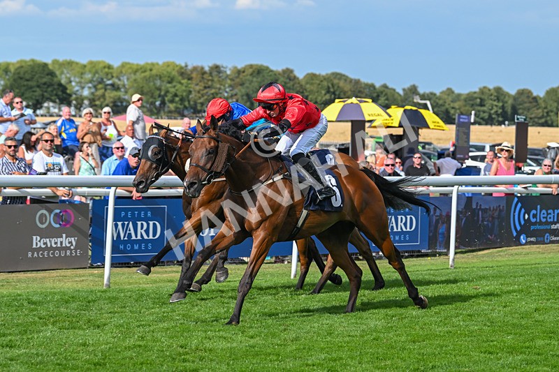 140825-Race 6-Sunny Orange-1827 - Race 6