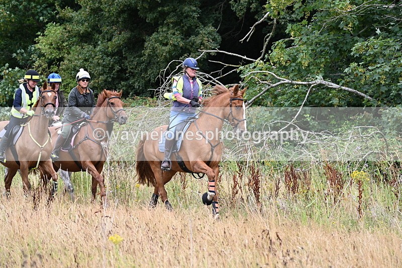 WJ6_2345 - Group 7