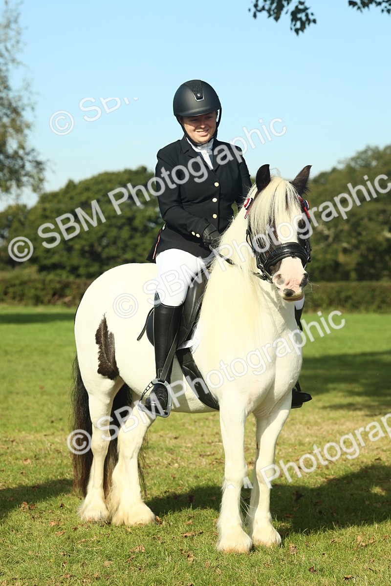 SBM_60001 - S38 - Starters Ridden Showing