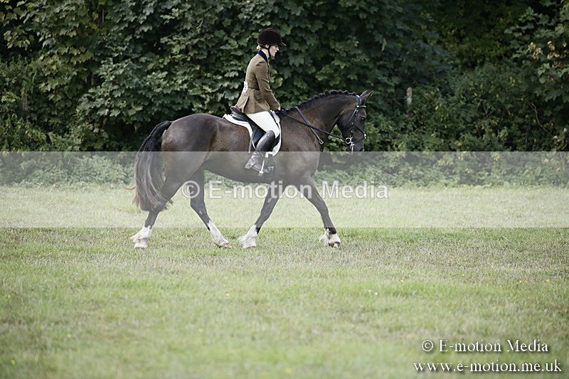 BVR090918 277 - BVRC Dressage and Show Jumping 09/09/18