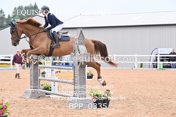 BPP_0335 - CLASS 26 SUN 5 Year Old Non Qualifier