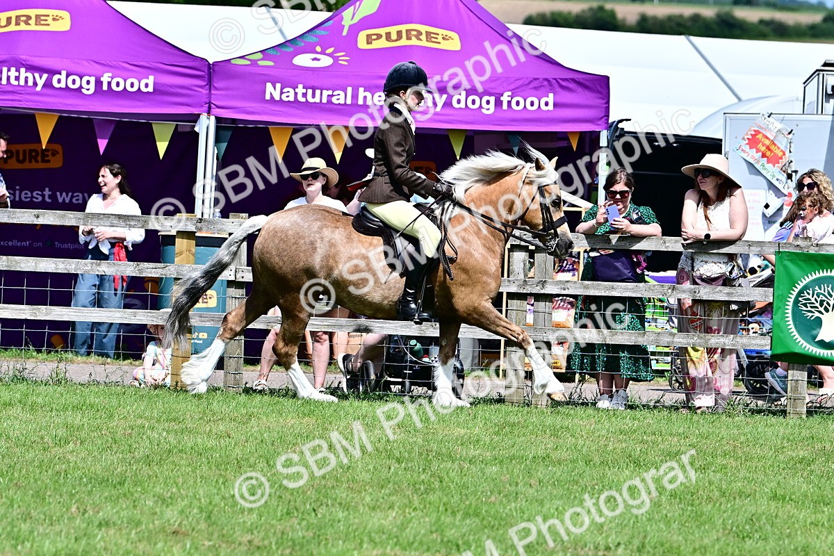SBM_07961 - Class 61-62 - TSR  M&M Ridden Amateur of the Year
