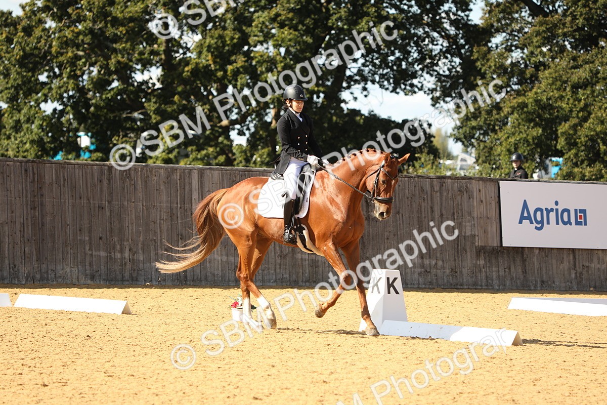 SBM_24612 - D17 - Grand Tour Championship - Novice 27