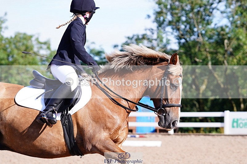 240809A-091348-00184 - Dressage Competition