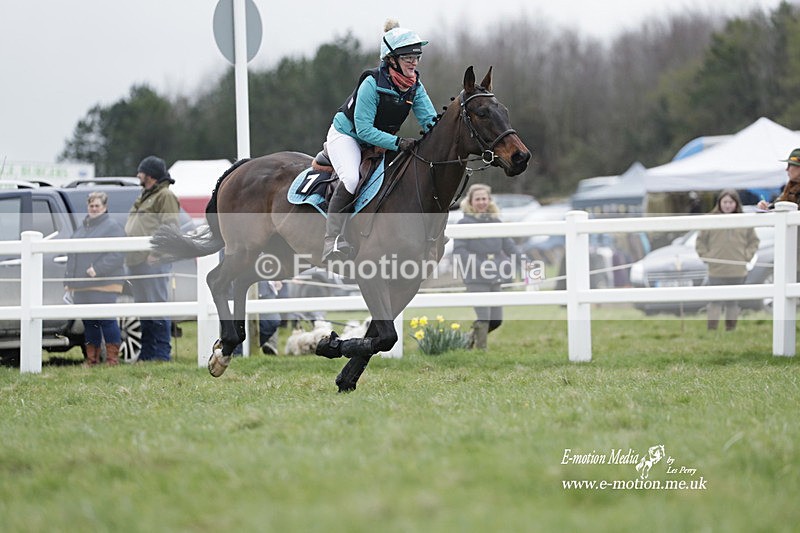 PtP 260323 0199 - New Forest Hounds Point-to-Point Larkhill 26/03/23