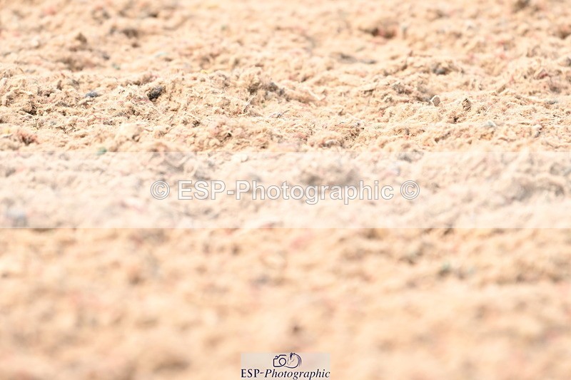 240621A-162113-04948 - Cls 13 BD Adv Medium 91