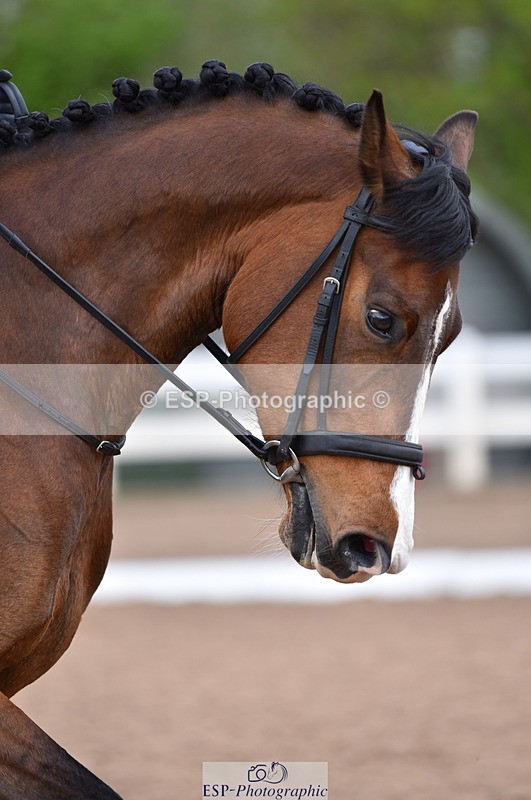 230511A-104317-00328 - BD Cls 4 Novice 22