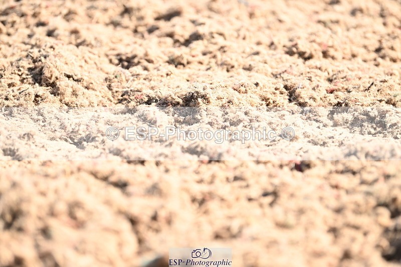 240621A-093402-01559 - Cls 2 BD Prelim 19