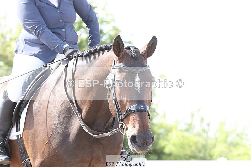 240706A-163327-04425 - Cls 9 RT Novice 27