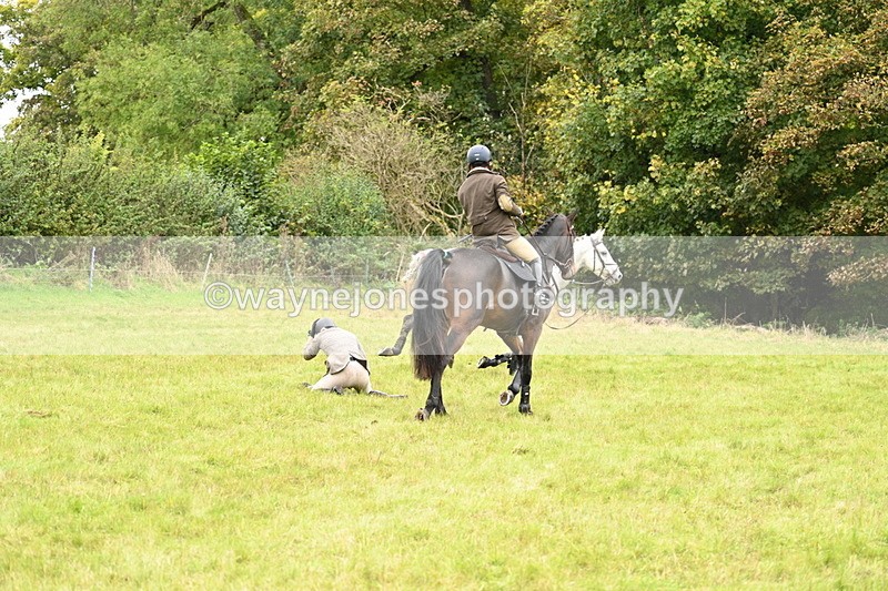 WJ7_4156 - Camera 1 Line 2