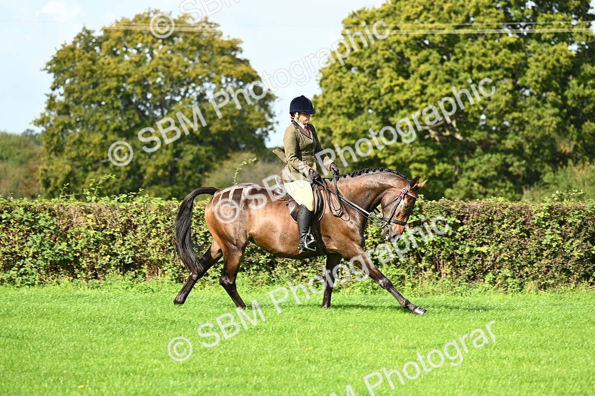 SBM_01776 - S2 - TSR Ridden Horse Showing