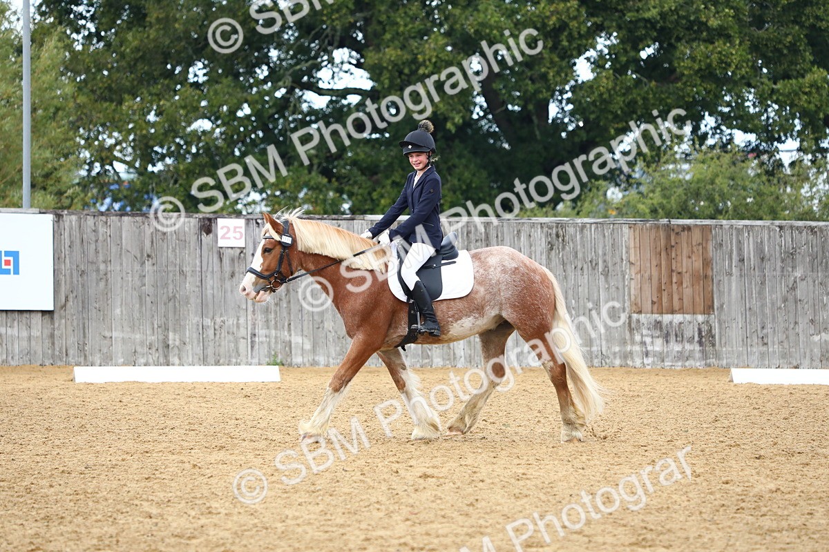 SBM_42651 - D21 - Junior Championship Intro 1
