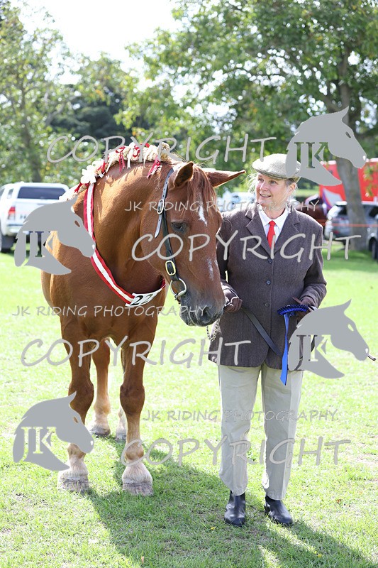 APP_3333 - Class 4 Veterans