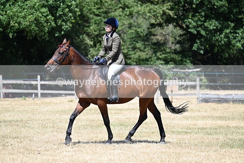 WJ7_3063 - Class 7 Riding Club Show Horse