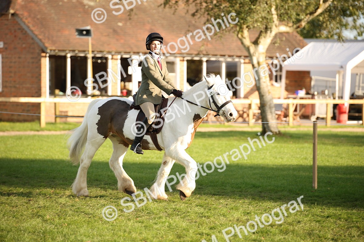 SBM_54387 - S27 - Mature Veteran - Ridden