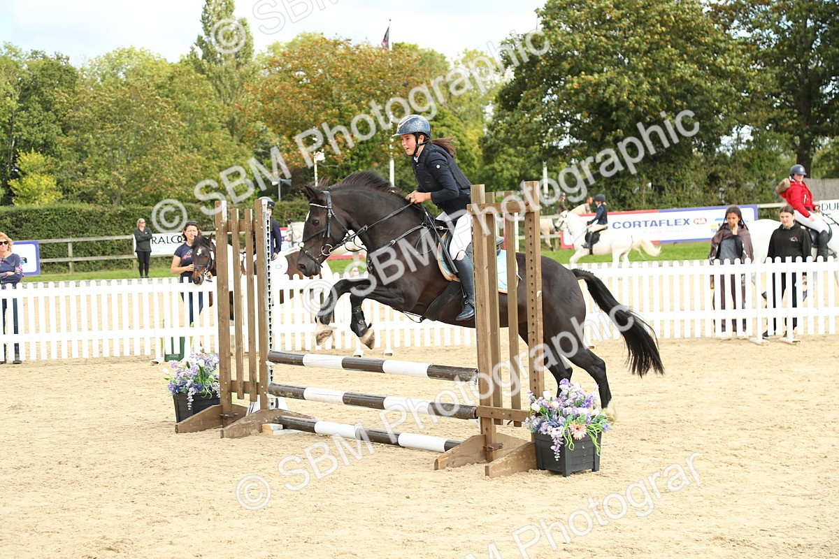 SBM_46553 - J7 - Junior Pony 60cm Championship