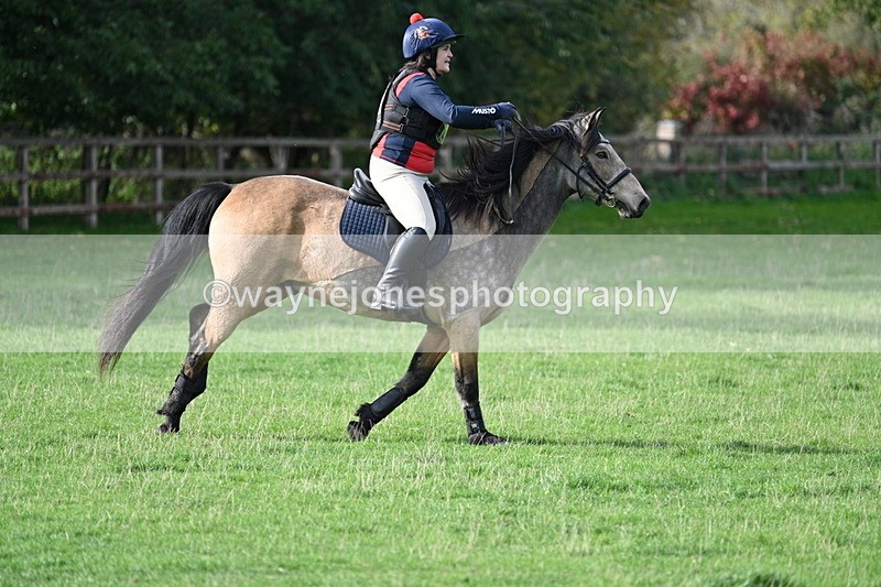 WJ7_1076 - Time 14:27 to 15:11