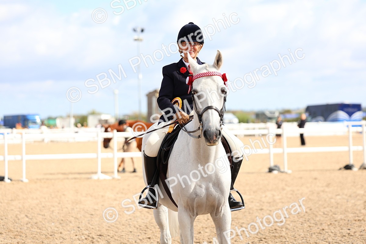 SBM_10150 - Class 304 - Ridden Part Bred Horse Pony