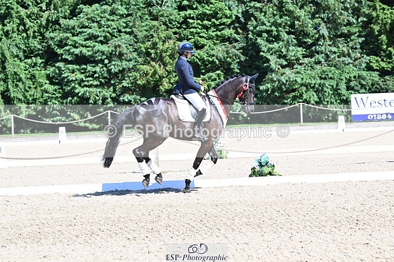 240811-153507-06674 - Adv Medium Gold