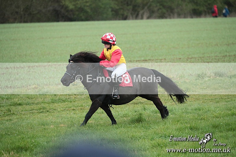 SHETPR 210425 125 - Shetland Ponies Paxford Races 21/04/25