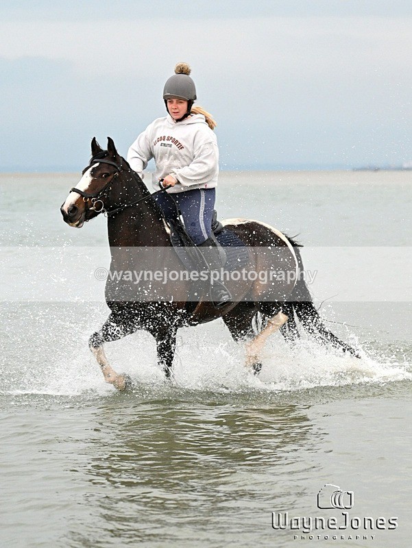 WJ7_8914 - Hayling Island Beach Shoot 22-09-24