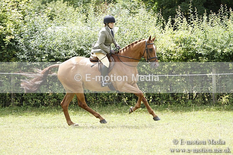 BVR160717-1829 - Ring 3 BVRC Show 16/07/17