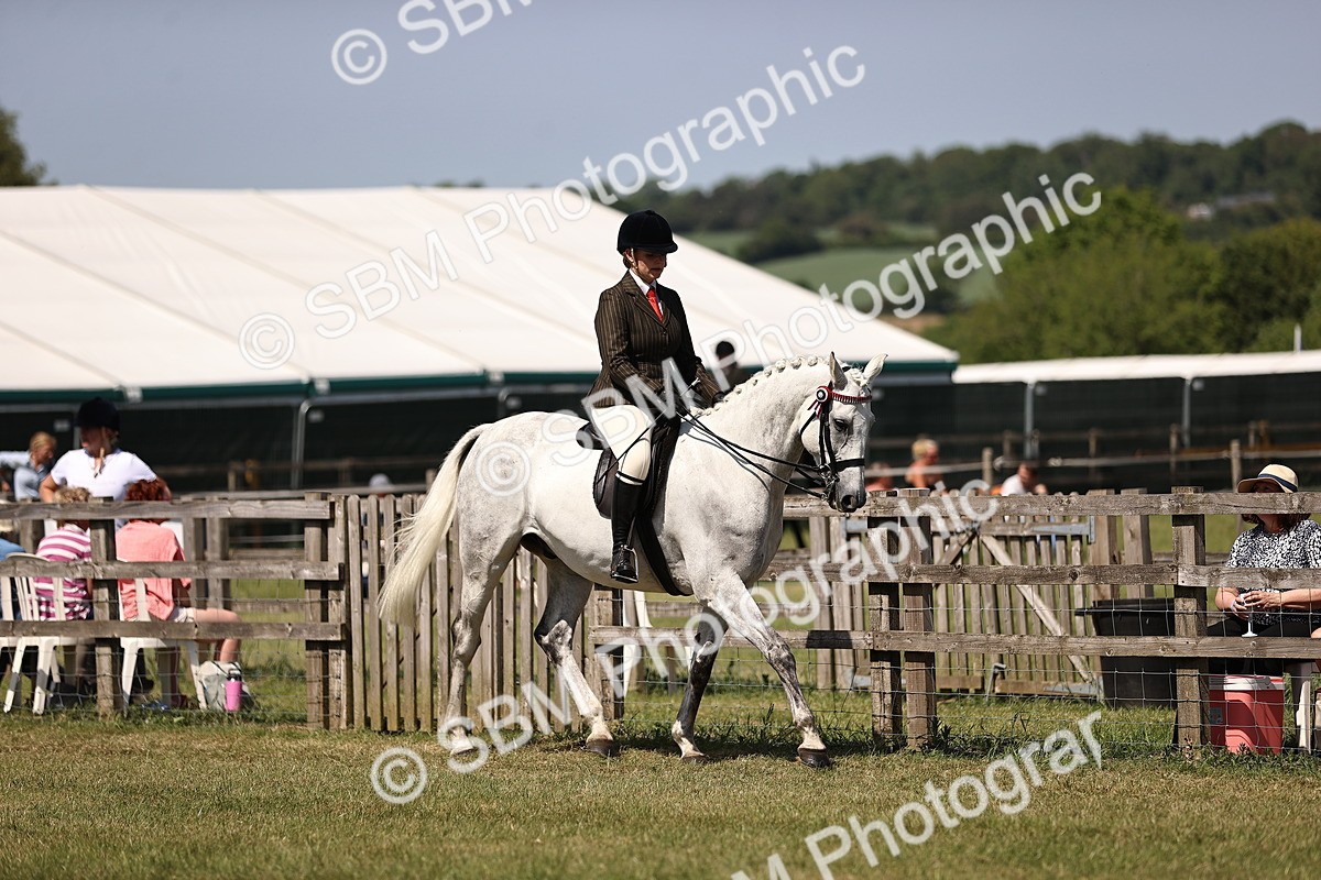 SBM_17981 - Class 81-83 - TSR Ridden Amateur of the Year - Horses