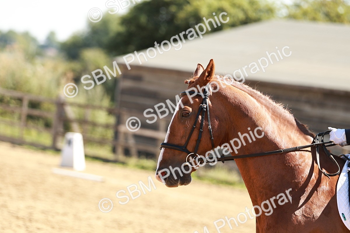 SBM_001660 - Class 13 - DR P2