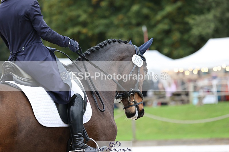 241024-140832-03782 - 159-Eva.Carse-HIDDEN.ECLIPSE