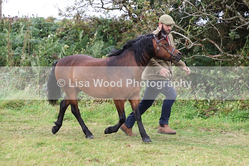 3E7A4586 - Class 16: Best Grass Kept