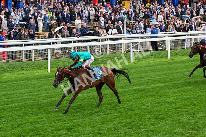 200826-Race 5-Prizeland-0659 - Race 5 16.10pm British EBF & Sir Henry Cecil Galtres Stakes