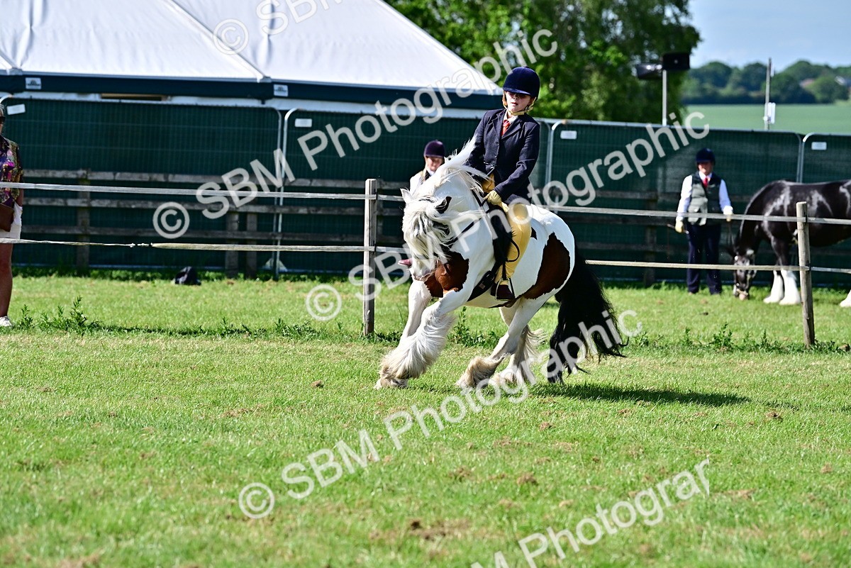 SBM_09411 - Class 63-65 - Traditional Gypsy Cobs In Hand & Ridden