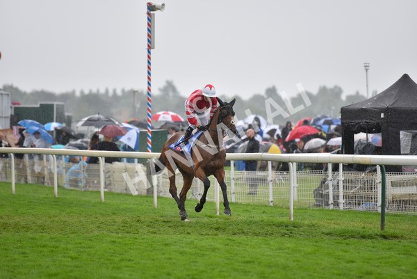 yr21082021r4-56 - Race 4 3.35pm Sky Bet Ebor