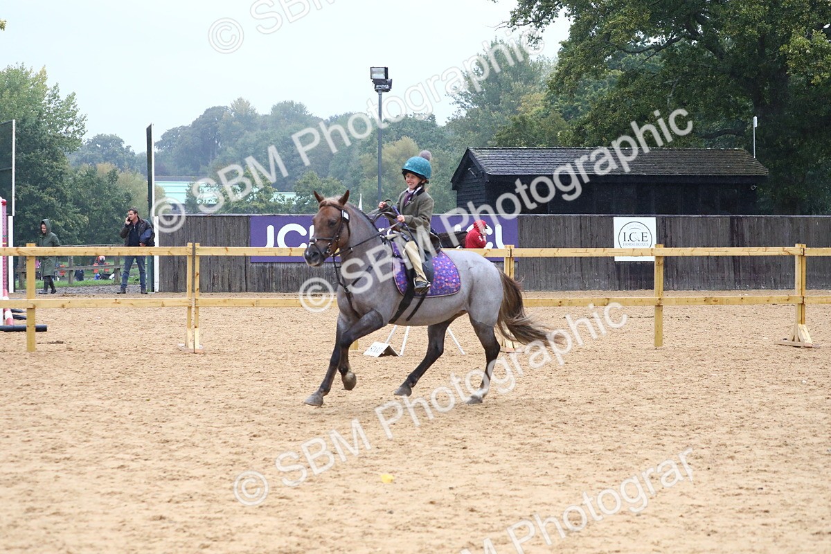 SBM_71490 - J4 - Mini Tour Junior Pony 45cm Championship