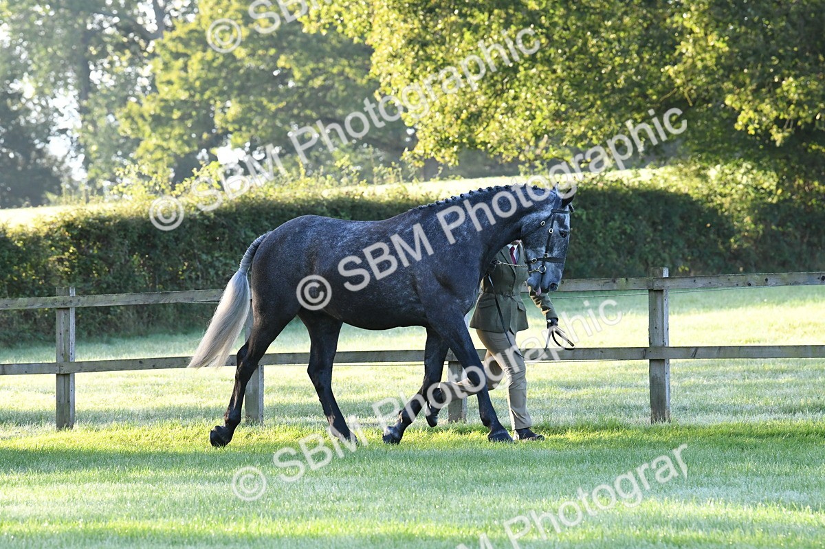 SBM_32490 - S15 - Condition & Turnout In Hand