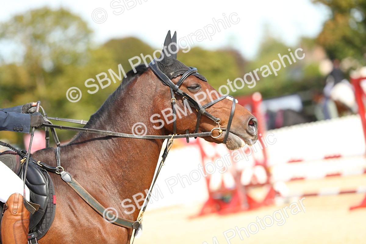 SBM_21141 - J51 - Open 70cm