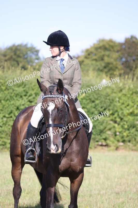 20260906-0397 - Class 14 - Ex Racehorse