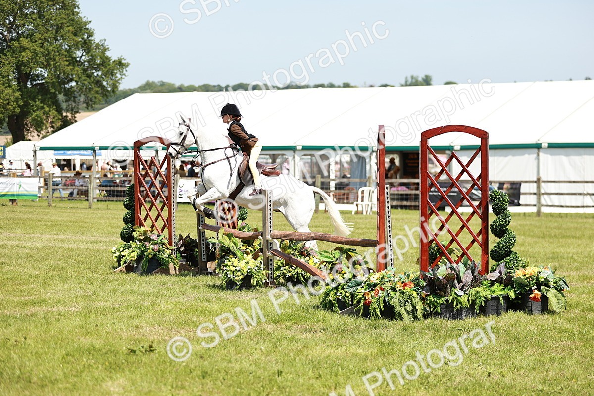 SBM_15621 - Class 108-109 - BSPS LIHS Open Gradle & Nursery Stakes