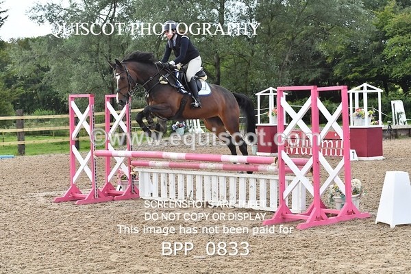 BPP_0833 - CLASS 1 Clear Round Show Jumping