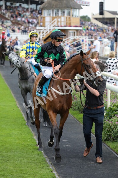 yr23072022r6-15 - Race 6 5.00pm Sky Bet Partnership with Support Dogs Stakes