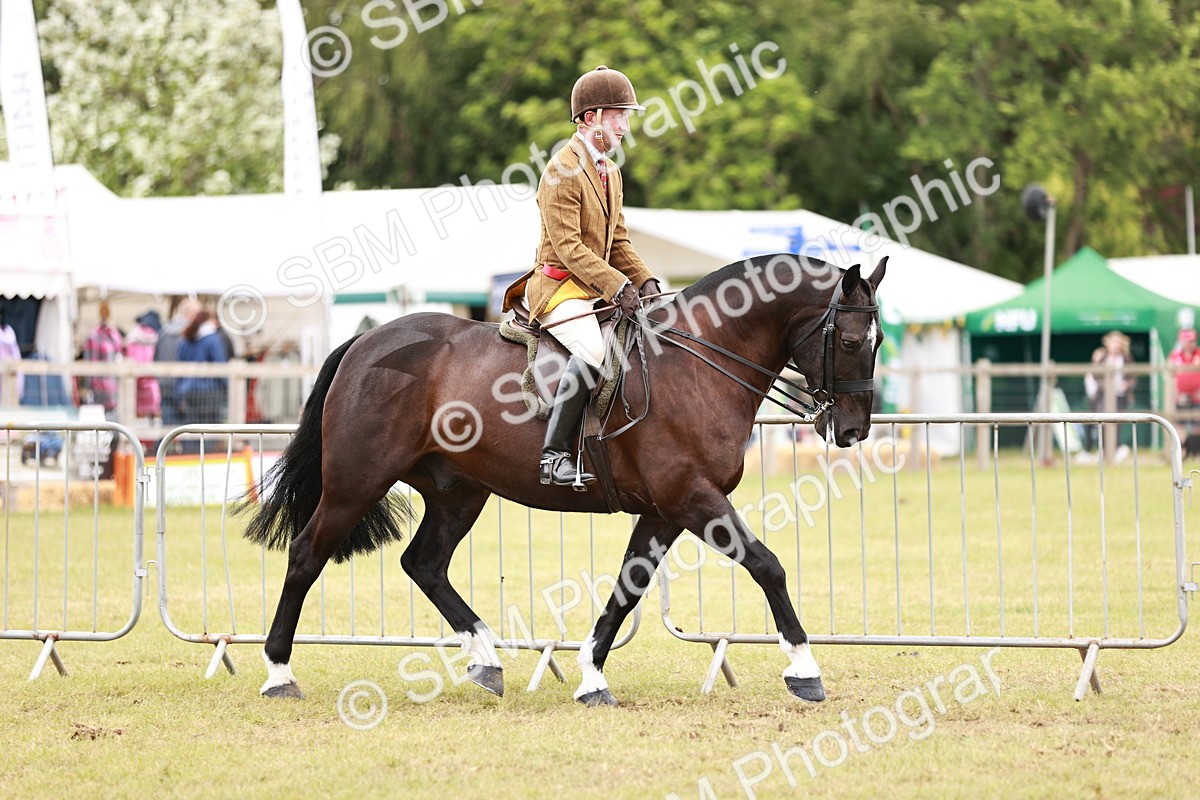 SBM_14092 - Class 85-87 - RIHS Cobs