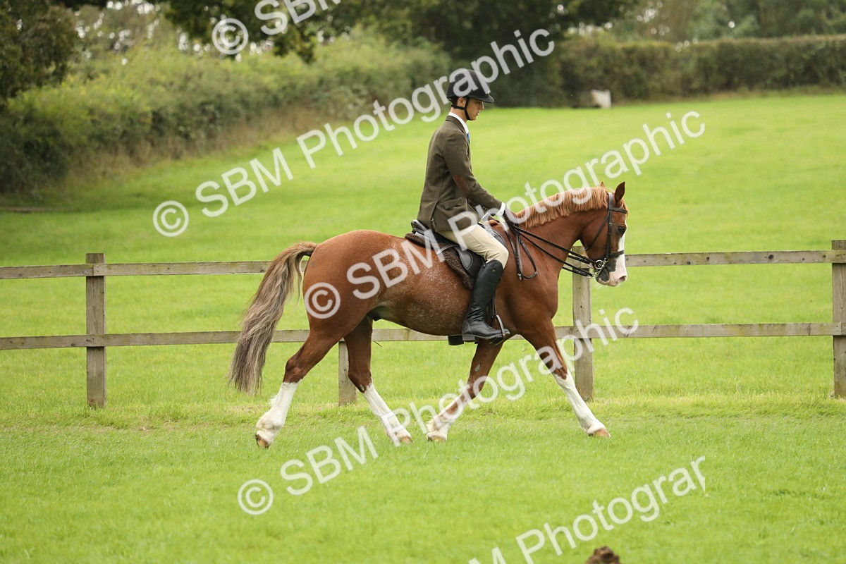 SBM_73693 - S41 - Ridden Equitation (Best Rider)