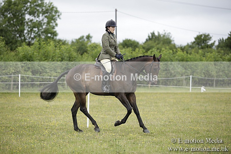 BVR160717-448 - Ring 1 BVRC Show 16/07/17