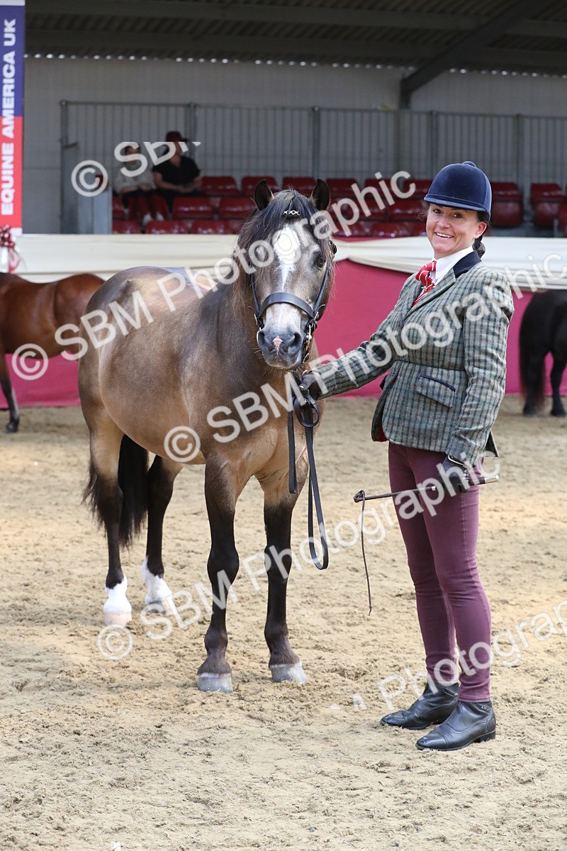 SBM_15342 - Class 501 M&M IH Supreme Final