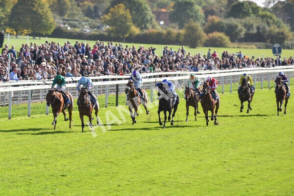yr08102022r2-31 - Race 2 2.05pm The Coral Rockingham Stakes