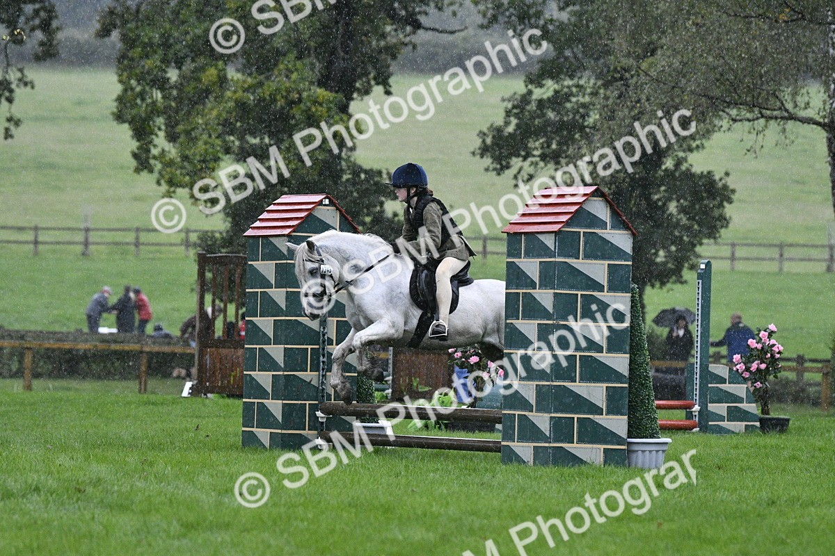 SBM_37113 - S31 - Novice & Newcomer Working Hunter Pony