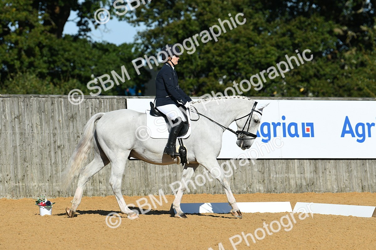 SBM_16251 - D4 - Small Tour Championship - Intro B