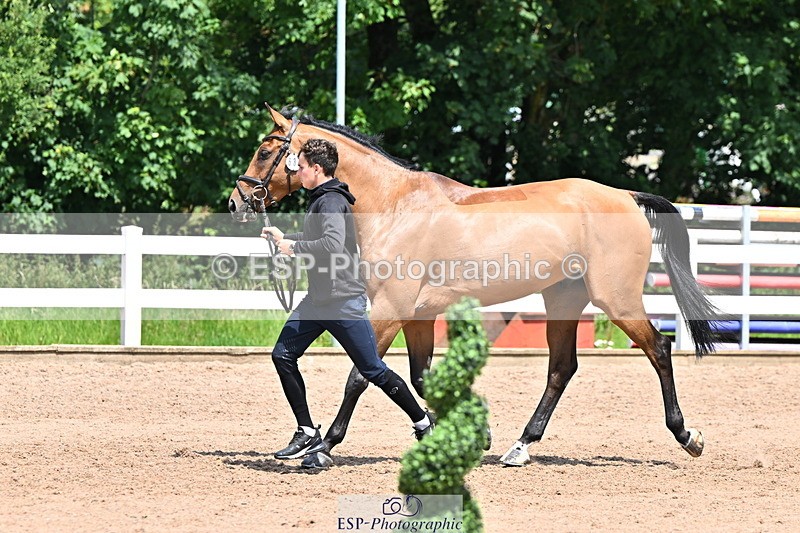 240718A-105311-01680 - Trot Up 1pm to 2pm