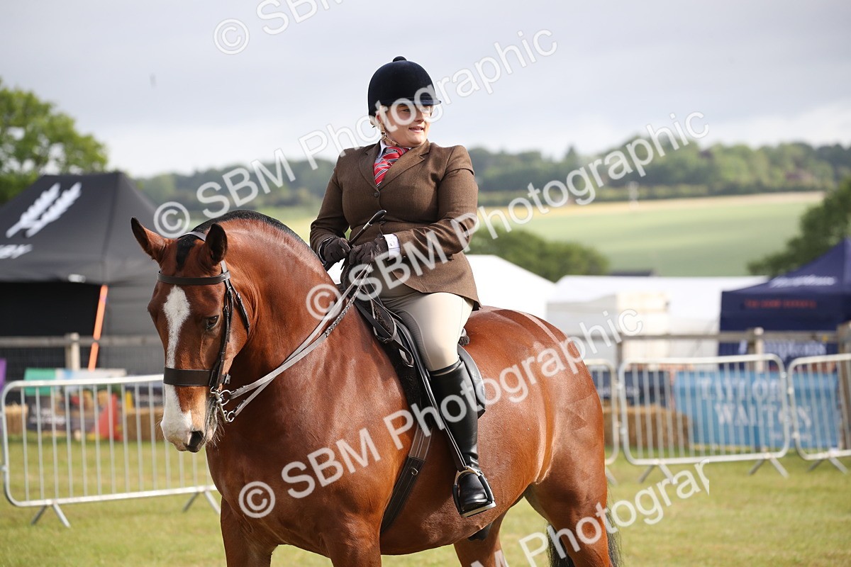 SBM_11143 - Class 92-93 - LIHS BSHA Rising Star Cobs