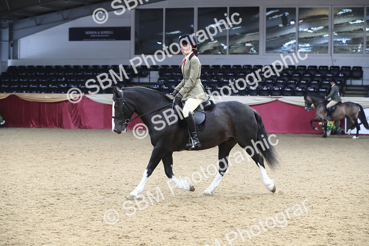 SBM_16373 - Class 502 M&M Ridden Supreme Final